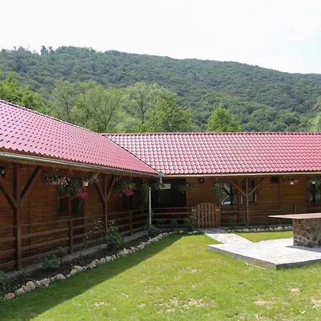 Pensiunea La Busu -bigar Guest house Bozovici