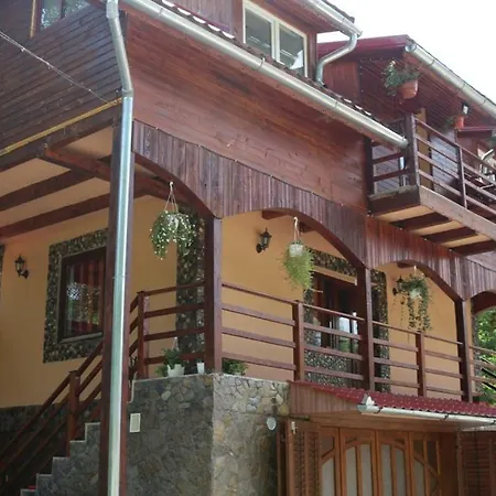 Pensiunea La Busu -bigar Guest house