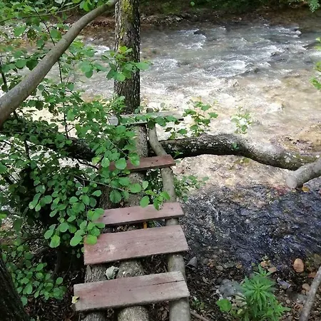 Pensiunea La Busu -bigar Guest house Bozovici