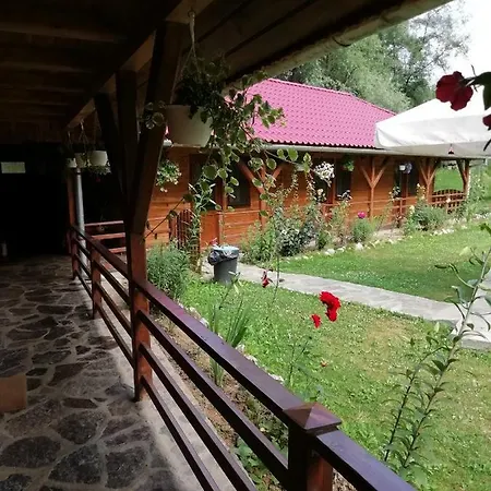 Pensiunea La Busu -bigar *