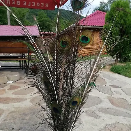 Guest house Pensiunea La Busu -bigar *