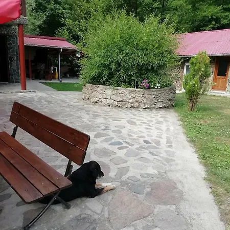 Pensiunea La Busu -bigar * Bozovici